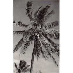 Rare collectable postcards of Madagascar. Vintage Postcards of Madagascar