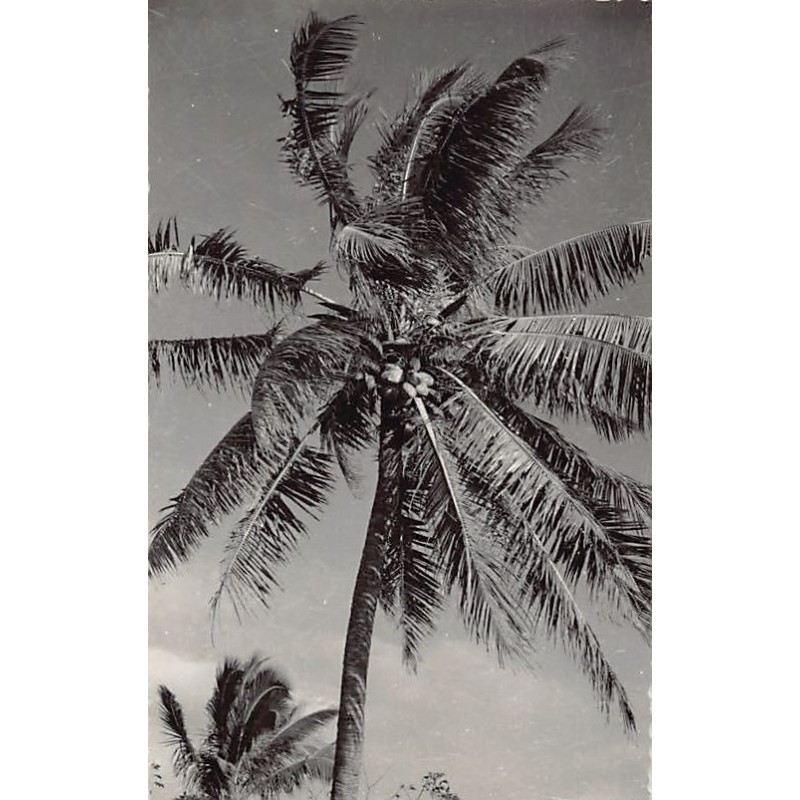 Rare collectable postcards of Madagascar. Vintage Postcards of Madagascar