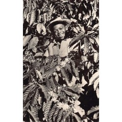 Rare collectable postcards of Madagascar. Vintage Postcards of Madagascar