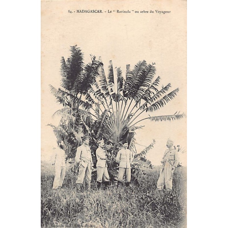 Rare collectable postcards of Madagascar. Vintage Postcards of Madagascar
