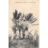 Rare collectable postcards of Madagascar. Vintage Postcards of Madagascar