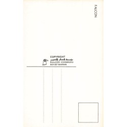 Rare collectable postcards of Bahrain. Vintage Postcards of Bahrain