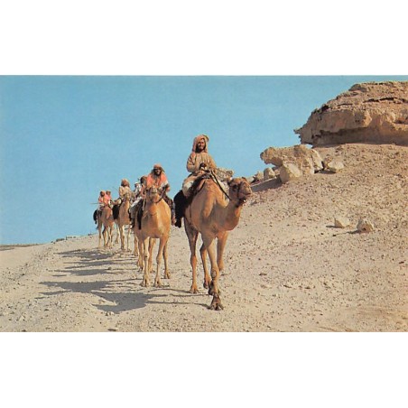 Rare collectable postcards of Bahrain. Vintage Postcards of Bahrain