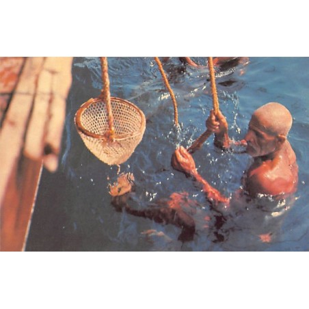 Rare collectable postcards of Bahrain. Vintage Postcards of Bahrain