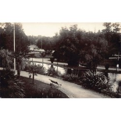 Rare collectable postcards of Uruguay. Vintage Postcards of Uruguay