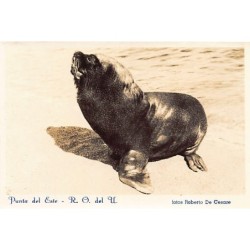 Rare collectable postcards of Uruguay. Vintage Postcards of Uruguay