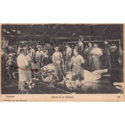 Rare collectable postcards of Uruguay. Vintage Postcards of Uruguay