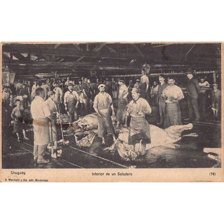 Rare collectable postcards of Uruguay. Vintage Postcards of Uruguay