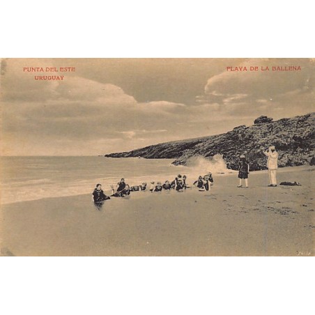 Rare collectable postcards of Uruguay. Vintage Postcards of Uruguay