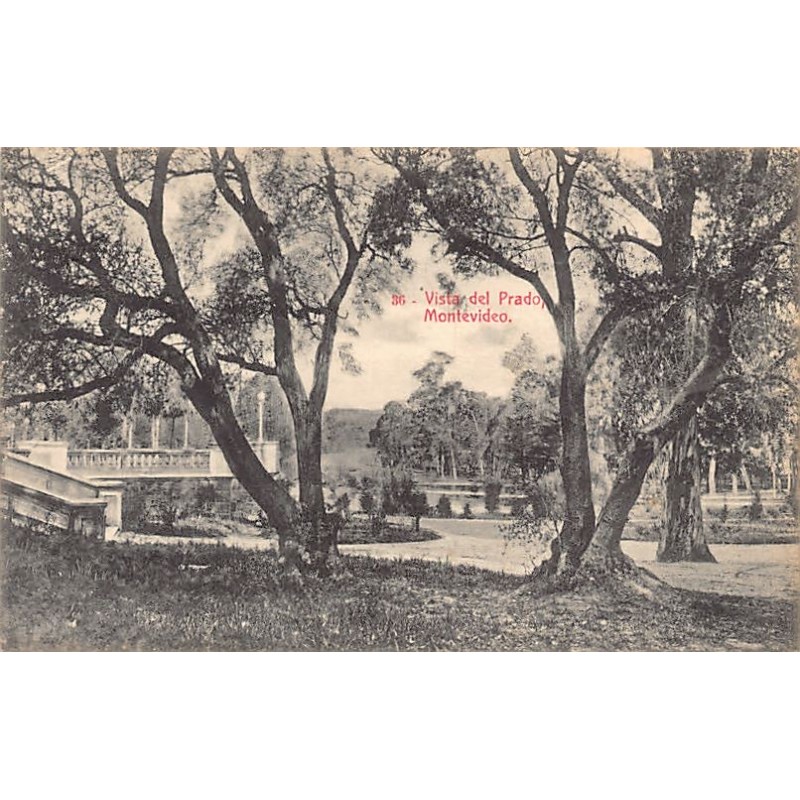 Rare collectable postcards of Uruguay. Vintage Postcards of Uruguay