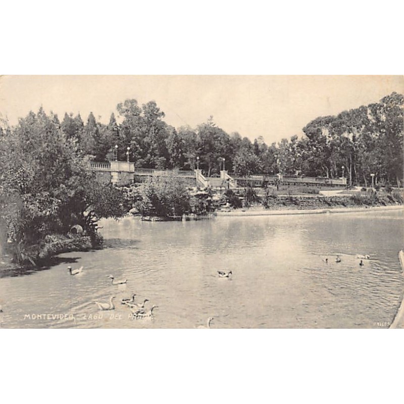 Rare collectable postcards of Uruguay. Vintage Postcards of Uruguay