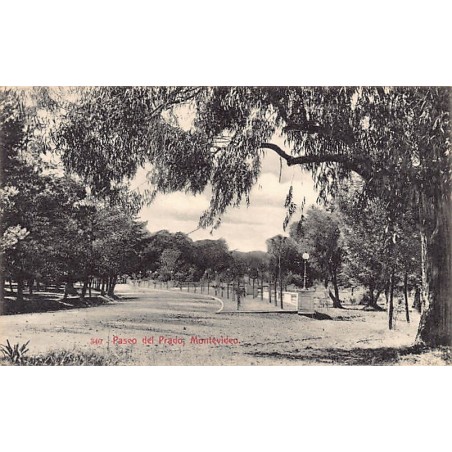 Rare collectable postcards of Uruguay. Vintage Postcards of Uruguay