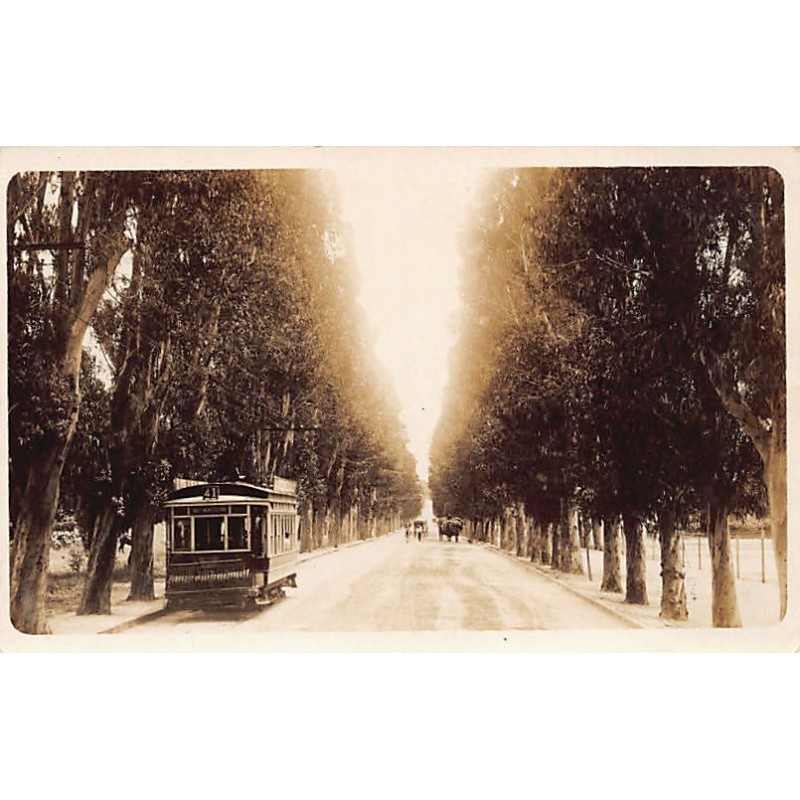 Rare collectable postcards of Uruguay. Vintage Postcards of Uruguay