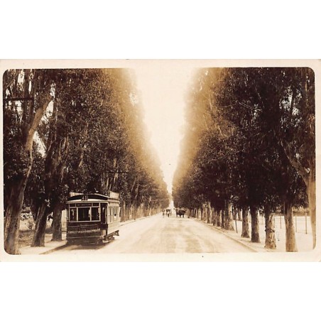 Rare collectable postcards of Uruguay. Vintage Postcards of Uruguay