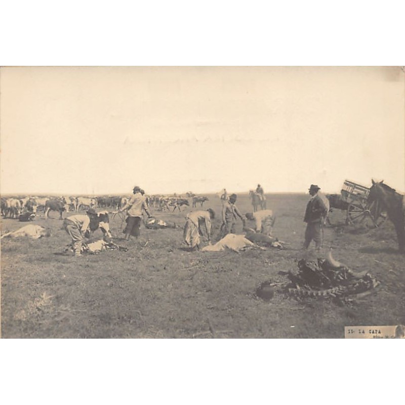 Rare collectable postcards of Uruguay. Vintage Postcards of Uruguay