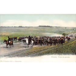 Rare collectable postcards of Uruguay. Vintage Postcards of Uruguay