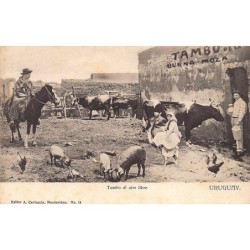 Rare collectable postcards of Uruguay. Vintage Postcards of Uruguay