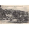 Rare collectable postcards of Senegal. Vintage Postcards of Senegal