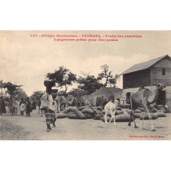 Rare collectable postcards of Senegal. Vintage Postcards of Senegal
