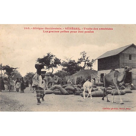 Rare collectable postcards of Senegal. Vintage Postcards of Senegal