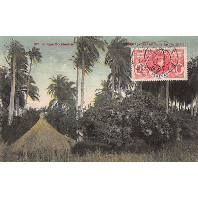 Rare collectable postcards of Senegal. Vintage Postcards of Senegal