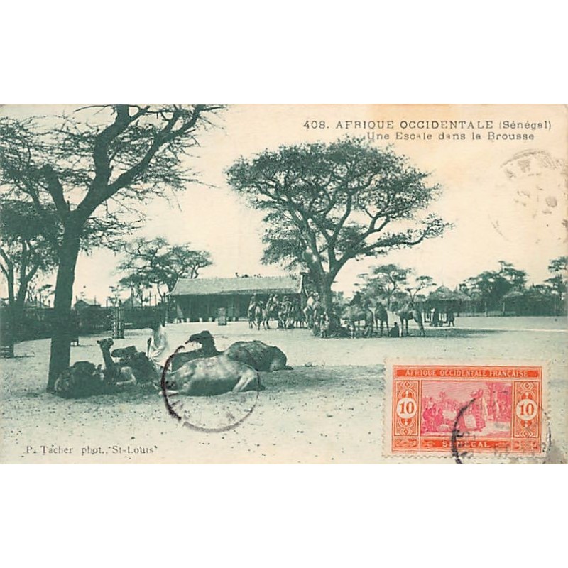 Rare collectable postcards of Senegal. Vintage Postcards of Senegal