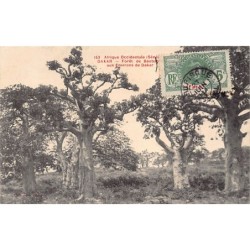 Rare collectable postcards of Senegal. Vintage Postcards of Senegal