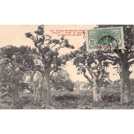 Rare collectable postcards of Senegal. Vintage Postcards of Senegal