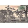 Rare collectable postcards of Senegal. Vintage Postcards of Senegal