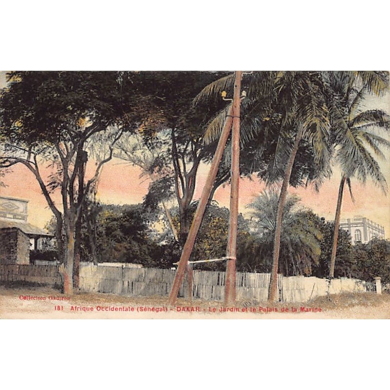 Rare collectable postcards of Senegal. Vintage Postcards of Senegal