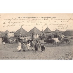 Rare collectable postcards of Senegal. Vintage Postcards of Senegal