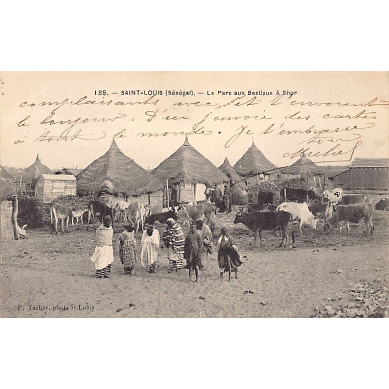 Rare collectable postcards of Senegal. Vintage Postcards of Senegal