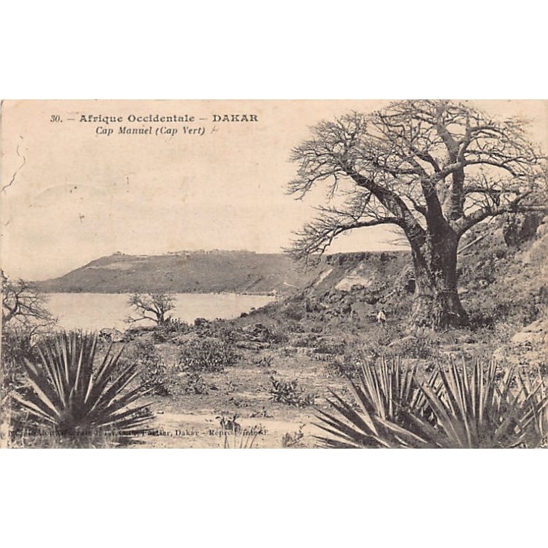 Rare collectable postcards of Senegal. Vintage Postcards of Senegal