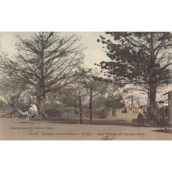 Rare collectable postcards of Senegal. Vintage Postcards of Senegal