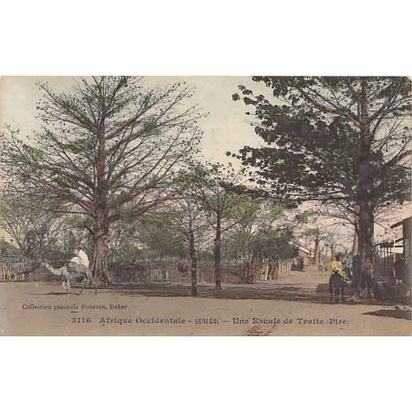 Rare collectable postcards of Senegal. Vintage Postcards of Senegal