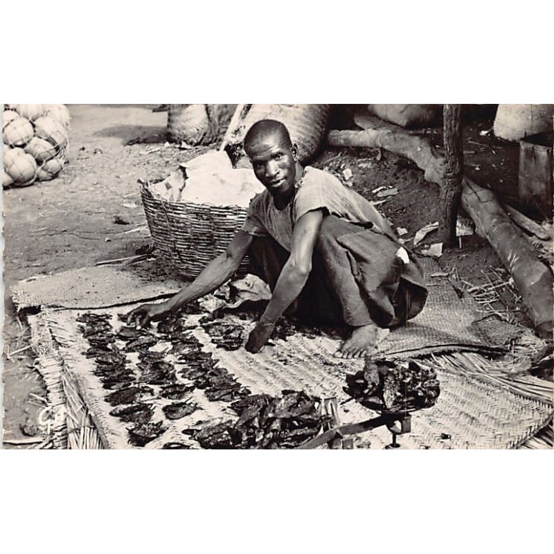 Rare collectable postcards of Senegal. Vintage Postcards of Senegal