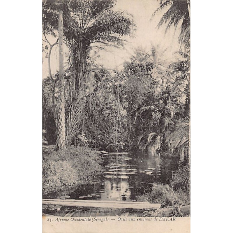Rare collectable postcards of Senegal. Vintage Postcards of Senegal