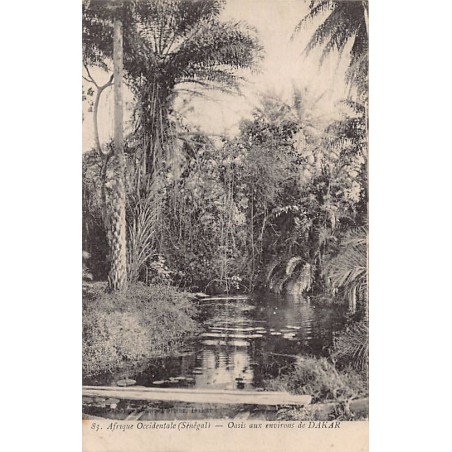 Rare collectable postcards of Senegal. Vintage Postcards of Senegal