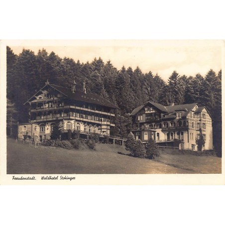 Rare collectable postcards of Germany. Vintage Postcards of Germany