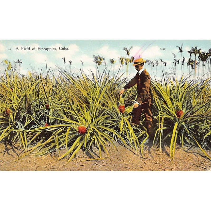 Rare collectable postcards of Cuba. Vintage Postcards of Cuba