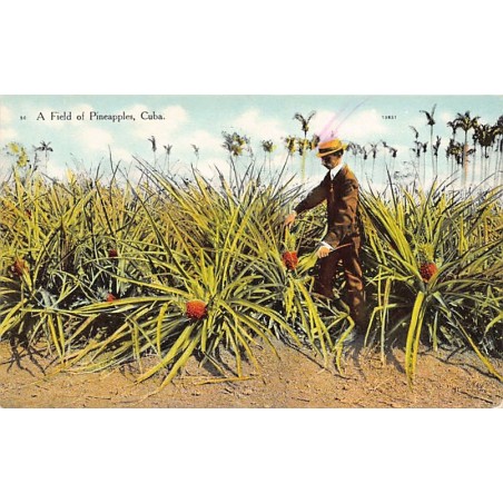Rare collectable postcards of Cuba. Vintage Postcards of Cuba