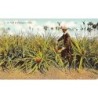 Rare collectable postcards of Cuba. Vintage Postcards of Cuba