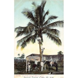 Rare collectable postcards of Cuba. Vintage Postcards of Cuba