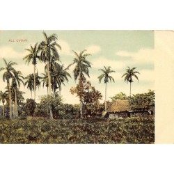 Rare collectable postcards of Cuba. Vintage Postcards of Cuba