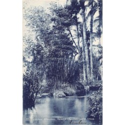 Rare collectable postcards of Cuba. Vintage Postcards of Cuba