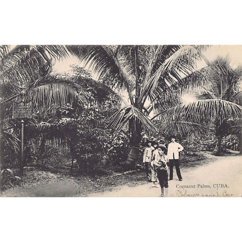 Rare collectable postcards of Cuba. Vintage Postcards of Cuba