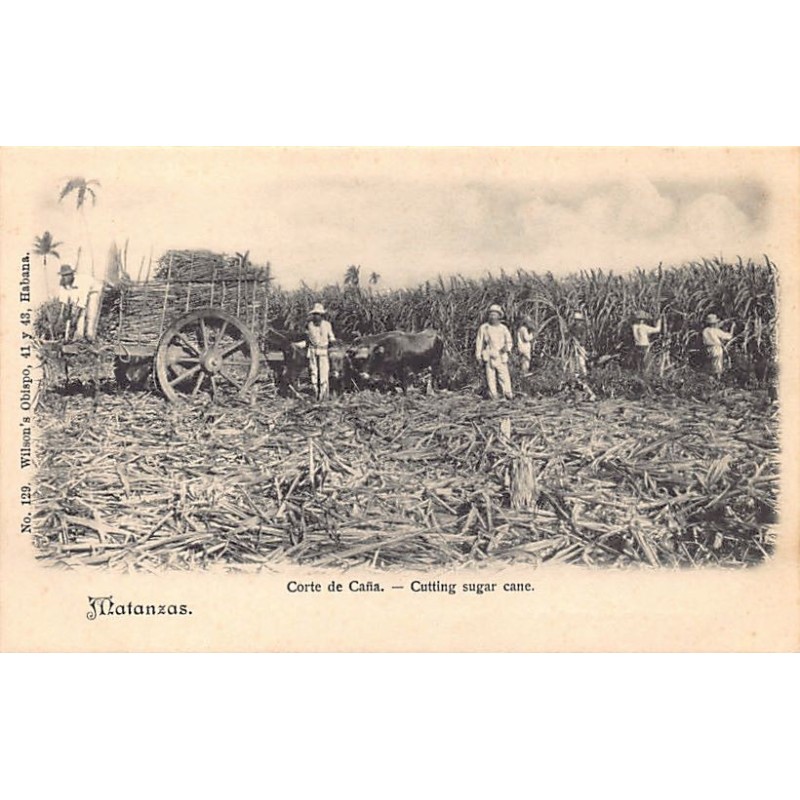 Rare collectable postcards of Cuba. Vintage Postcards of Cuba