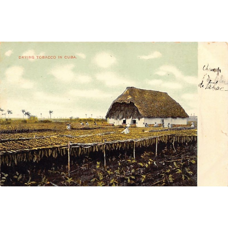 Rare collectable postcards of Cuba. Vintage Postcards of Cuba