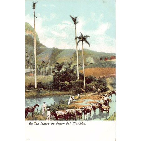 Rare collectable postcards of Cuba. Vintage Postcards of Cuba