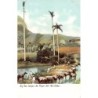 Rare collectable postcards of Cuba. Vintage Postcards of Cuba